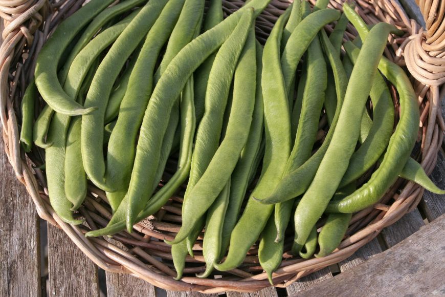 
	10 alimente pe care sa le consumi in luna iulie
