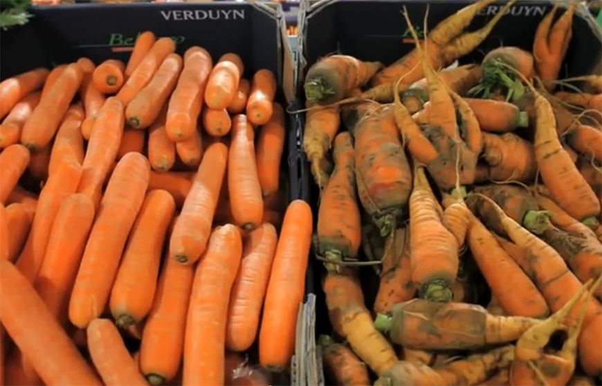 
	Cum a reusit un supermarket sa-si convinga clientii sa dea banii pe resturile de fructe si legume
