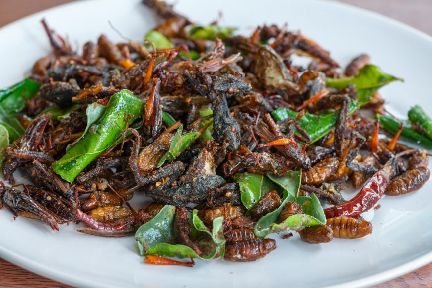 
	Insectele sunt mai hrănitoare decât carnea de vită și de pui! Ce spun specialiștii de la Oxford?
