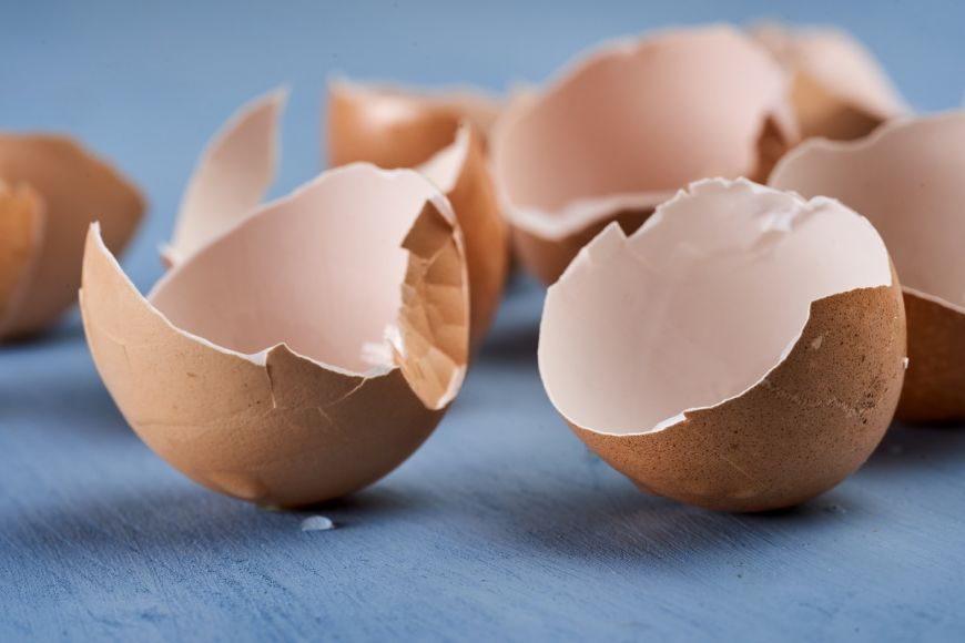 
	Întrebuințări nebănuite ale cojilor de ouă. Cum le poți folosi ca pansament în caz de accidente casnice 
