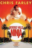 Beverly Hills Ninja