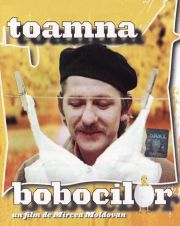 
	Toamna bobocilor
