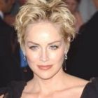 O masina apartinand lui Sharon Stone, vanduta in beneficiul bolnavilor de SIDA