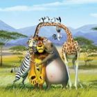 Madagascar 2 : din New York, in Africa