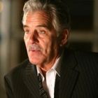 Dennis Farina, prins cu un pistol in aeroport