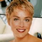 Sharon Stone, data in judecata pentru un miliard de dolari