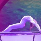 Contorsionism in apa si recorduri mondiale, la “Circo Massimo: Magia circului”