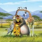 “Madagascar II: Escape 2 Africa” are premiera in Los Angeles