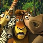 Madagascar 2/ Madagascar: Escape 2 Africa , primul loc in box office-ul romanesc!