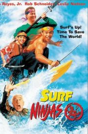 Surf Ninjas