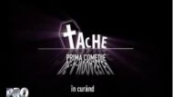 Tache - In curand la Pro Tv