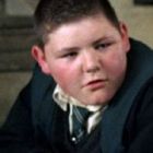 Un actor din Harry Potter ar putea primi 14 ani de inchisoare