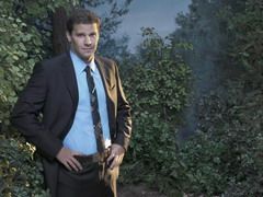 David Boreanaz se teme de puii de gaina