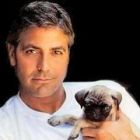 George Clooney face un rol memorabil intr-o reclama la cafea