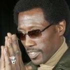 Wesley Snipes, somat sa se prezinte la inchisoare!