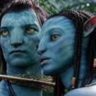 
	Avatar este cel mai piratat film al anului 2010
