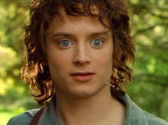 Elijah Wood va juca in The Hobbit
