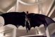 Batman: The Dark Knight Rises se filmeaza la Bucuresti
