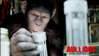 Cum preiau maimutele controlul asupra oamenilor! Vezi imagini spectaculoase din noul Planeta Maimutelor!