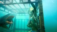 Shark Night 3D Trailer