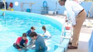 Dolphin Tale Trailer