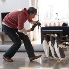 De azi poti vedea comedia lui Jim Carrey: Mr. Popper s Penguins. Vezi ce filme sunt in acest week-end in cinematografe