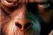 Filmul care ii ingrozeste pe cercetatori: cum ar putea crea un cosmar SF experimentele din Planeta Maimutelor!