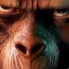 Filmul care ii ingrozeste pe cercetatori: cum ar putea crea un cosmar SF experimentele din Planeta Maimutelor!
