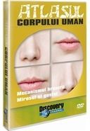 Atlasul corpului uman: Mecanismul hranirii - Gustul si mirosul  