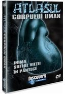 Atlasul corpului uman: Inima - Sufletul vietii - In pantece  