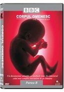 Corpul Omenesc - Partea B