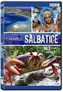 Caraibele salbatice - Partea B