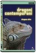 Dragoni Contemporani