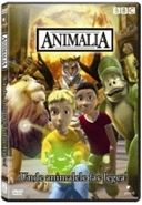 Animalia