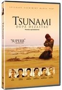 Tsunami: Dupa dezastru