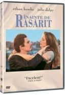 Inainte de rasarit