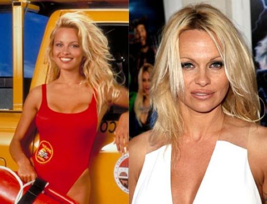 Singurele succese din cariera de actrita ale lui Pamela Anderson sunt Baywatch si serialul VIP. In rest, ea a fost in atentia presei mai mult din cauza scandalurilor legate de viata ei privata.