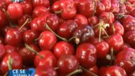 ce se intampla doctore? Slabire grasimi