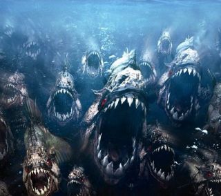 Creaturile ucigase varsa si mai mult sange: primul teaser trailer pentru Piranha 3DD