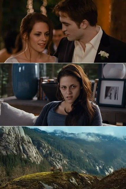 Sofia Coppola  a fost interesata sa regizeze filmul, insa si-a dorit sa incheie povestea de dragoste dintre Bella si Edward intr-o singura parte, in timp ce studiourile de productie, Summit Entertainment isi doreau doua parti.