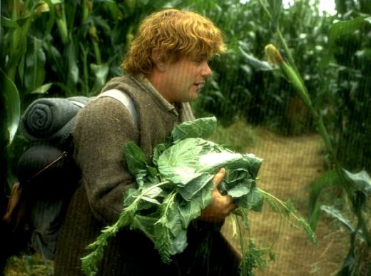 Sam Gamgee, unul din hobbiti, care este de meserie gradinar, apare o singura data in film ocupanadu-se de gradina, doar in editia extended, in sectiunea 