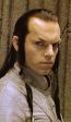 Fratele lui Elrond a fost primul Rege la Numenor, asa ca este un stramos foarte indepartat al lui Aragorn.