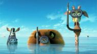 Madagascar 3 Trailer