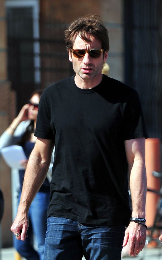 David Duchovny in 2011
