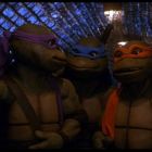 Michael Bay va produce Testoasele Ninja unul dintre cele mai mari succese financiare din anii 90. Iti mai aduci aminte de Donatello, Michelangelo, Leonardo si Raphael?