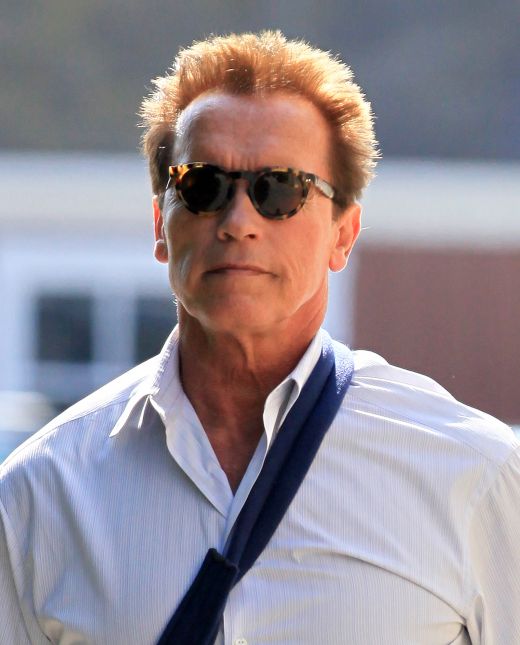 Arnold Schwarzenegger 2012