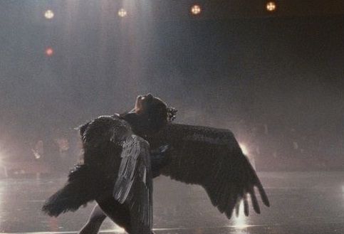 Black Swan (2010): O scena impresionanta este cea in care balerina interpretata de Natalie Portman in Black Swan se transforma pe scena intr-o adevarata lebada neagra, cu aripi imense.