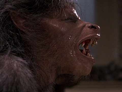 An American Werewolf In London (1981): Un horror clasic care a intrat in istorie, iar scena transformarii  in varcolac este aratata complet, spre surprinderea fanilor.