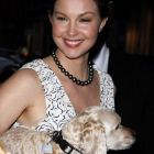 Ieri una dintre cele mai dragute actrite de la Hollywood, azi deformata de Botox. Ashley Judd, cu fata distrusa