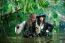 6. Pirates Of The Caribbean: On Stranger Tides (2011): buget de 250 de milioane de $